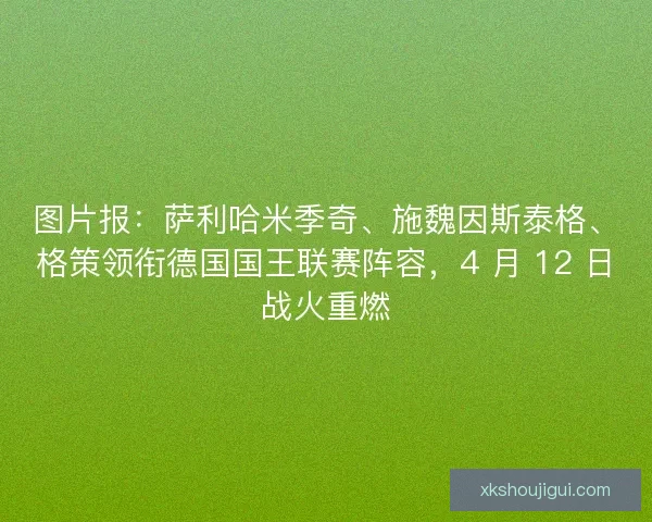 图片报：萨利哈米季奇、施魏因斯泰格、格策领衔德国国王联赛阵容，4 月 12 日战火重燃